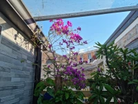 Residenza Lucana 