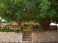B&B La Scapola 
