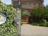 B&B Marigold 