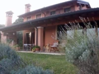 Olivella 