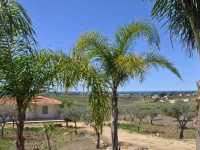 Holiday Home Biancolilla 