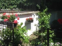 Civicoquattro 