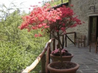 Agriturismo Molino Paradiso 