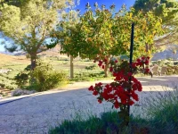 Agriturismo Casebianche 