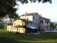 Oliodivino 