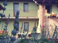 Agriturismo Bassanine 