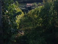Agriturismo I Cascinieri 