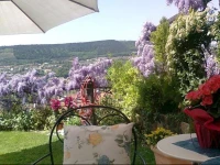 Arte E Natura In Valpolicella 