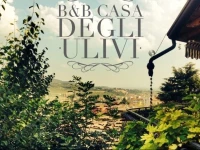B&B Casa Degli Ulivi 