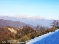 La Ruota del Mulino 