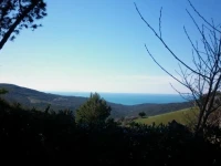 Casolare Il Salice 