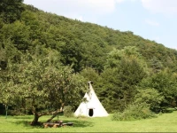 Tipi As Wamputah 