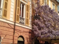 Hotel Glicine 