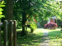 B&B LAlbero Maestro 