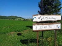 La Locanda Dellolmo 