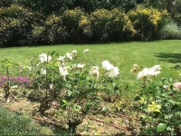 Lavanda & Rosmarino Apartments 
