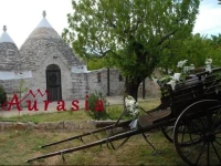 Aurasia 