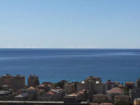 Gli Agrumi