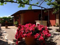 LUpupa B&B 