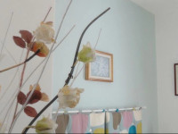 B&B Cristina