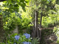 B&B Casa Carla 