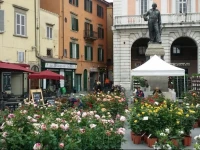Pisa Central B&B 