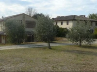 Bosco Ai Marzi 
