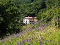 CasaMilleNoveCento 