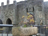 eremo gioioso 