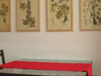 La Casa sul Corso B&B