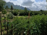 Agriturismo Sorgituro Insieme 