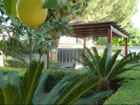 Villa Alfano 
