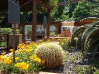 Agave Hotel 