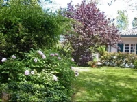 I Cedri B&B 