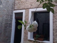 Toscanini Rooms 