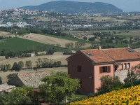 LErbaiuola