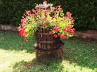 Bargoncello 