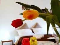 B&B Notte a Roma 