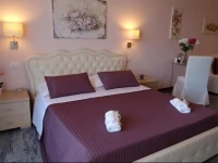 Fiore Vaticano B&B 