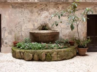 Lucky Domus Esquilino 