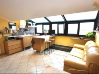 Penthouse With View 
