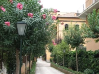 Villa Matissa 