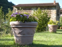Country Room Il Moro 