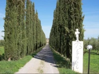 Azienda Agrituristica Le Betulle 