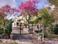 Villa Poggio Ulivo B&B Relais 