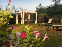 Al Cottage 