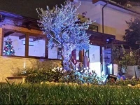 B&B Borgo Santa Margherita 