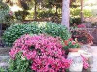 B&B La Capanna Rossa 
