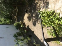 B&B La Vigna Di Mario 