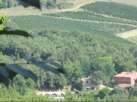 Apartment Corbezzolo 